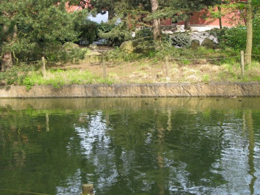 Elle fait des câlins, et elle les fait toujours bien !