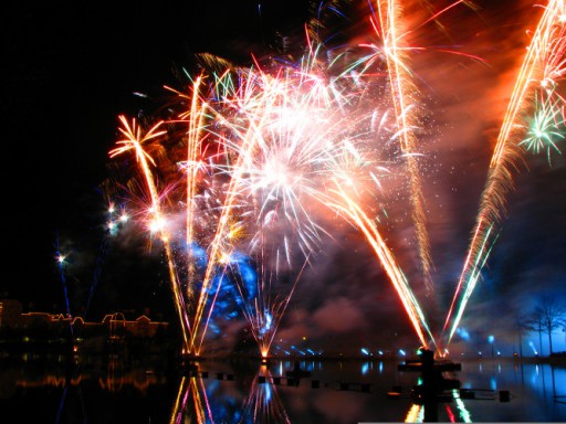 Disney's Bonfire 2010