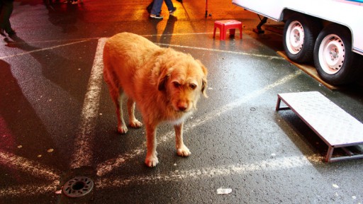 American Lunapark Brest — 7 janvier 2012