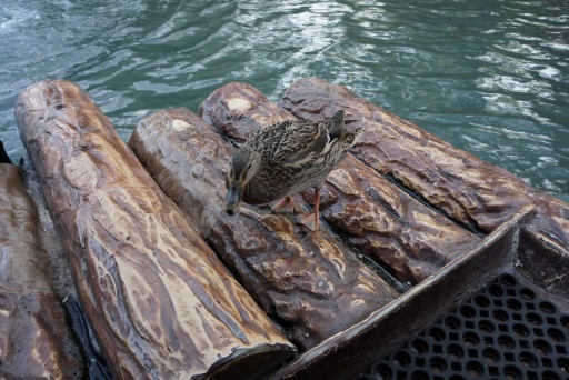 On a peur de quelque chose nous ? J'ai peur de rien, moi, là ! Horror, Horror, c'est un prénom féminin fronçais, ça !
