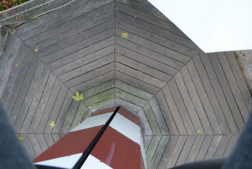 … c'est la fête à la grenouille !