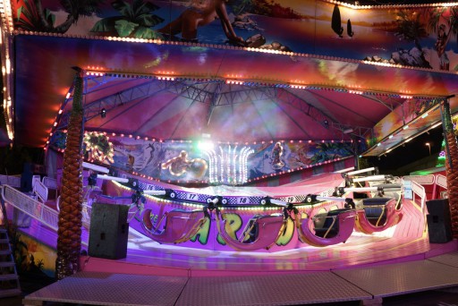 Foire Saint-Martin de Cergy-Pontoise — 8 novembre 2012