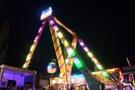 Foire Saint-Martin de Cergy-Pontoise — 8 novembre 2012