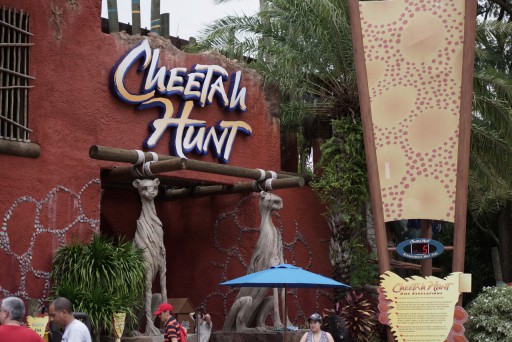 Busch Gardens Tampa — 18 septembre 2013