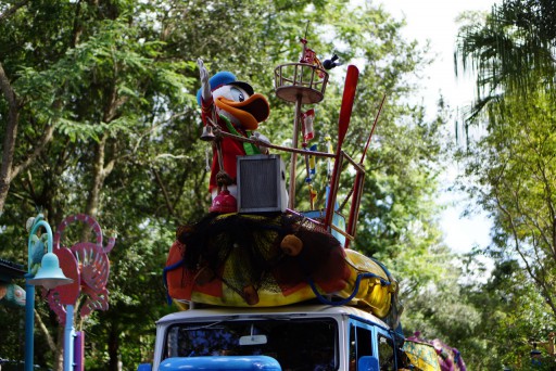 Walt Disney World - Disney's Animal Kingdom — 21 septembre 2013