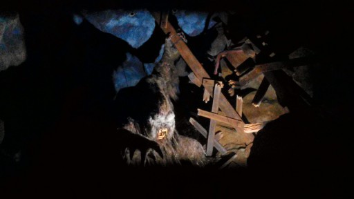 Walt Disney World - Disney's Animal Kingdom — 21 septembre 2013