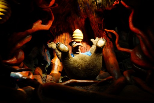 Walt Disney World - Magic Kingdom — 24 septembre 2013