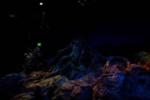 Walt Disney World - Epcot — 24 septembre 2013