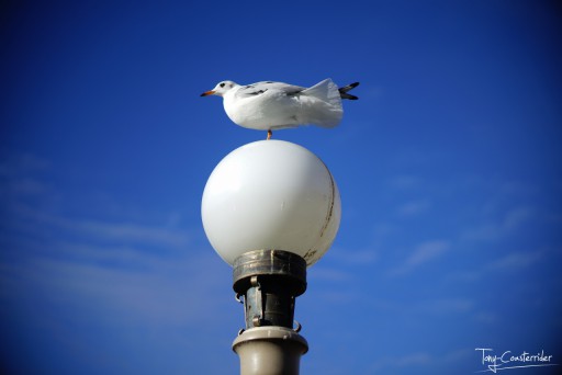 Plein format : j'ai franchi le pas