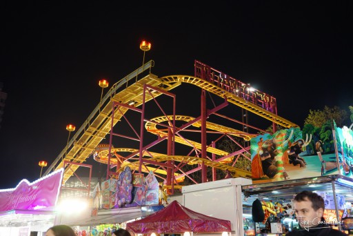 Foire d'Hiver de Rennes — 23 décembre 2014