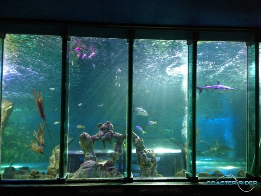 Blackpool l'unique : du charme et du fun