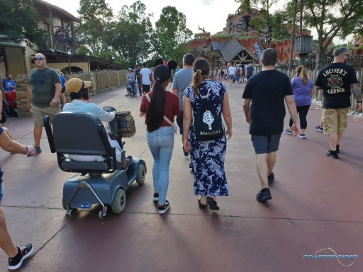 Walt Disney World - Magic Kingdom