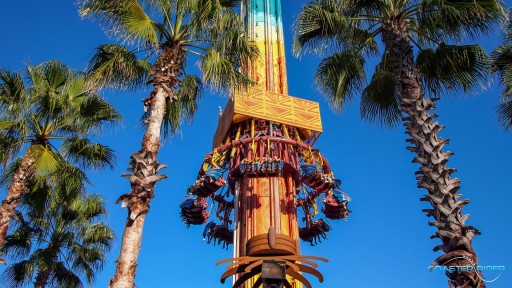 Busch Gardens Tampa