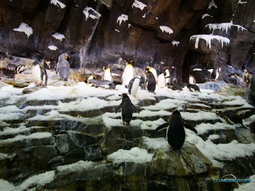 SeaWorld Orlando