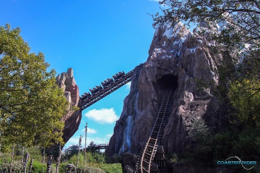 Walt Disney World - Disney's Animal Kingdom