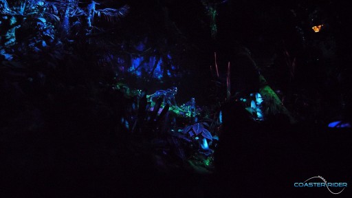 Walt Disney World - Disney's Animal Kingdom