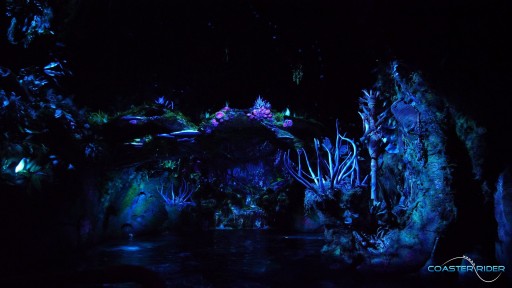 Walt Disney World - Disney's Animal Kingdom