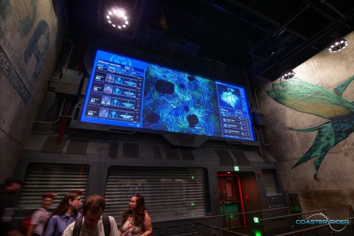 Walt Disney World - Disney's Animal Kingdom