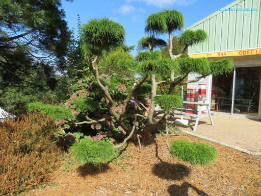 Odet Loisirs — 27 septembre 2020