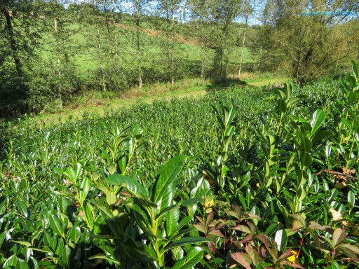 Odet Loisirs — 27 septembre 2020