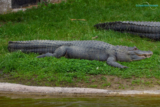 Le Pal — 15 juillet 2021