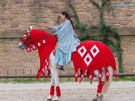 Le Puy du Fou — 26 mai 2022