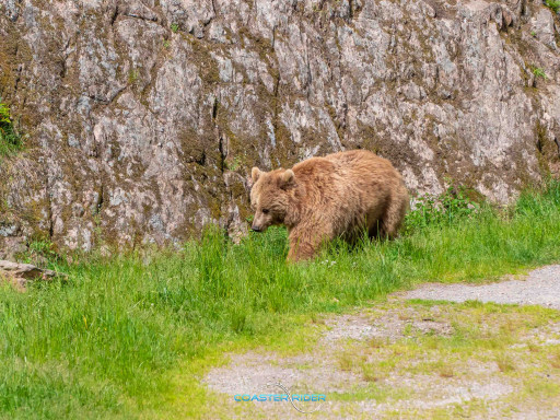 Kolmården — 13 juin 2022